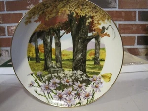 1981 ROYAL WINDSOR WILDFLOWERS OF THE SOUTH FROST ASTER PLATE  - Picture 1 of 12