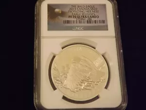 2013 Bald Eagle NGC PF 70 - Picture 1 of 2
