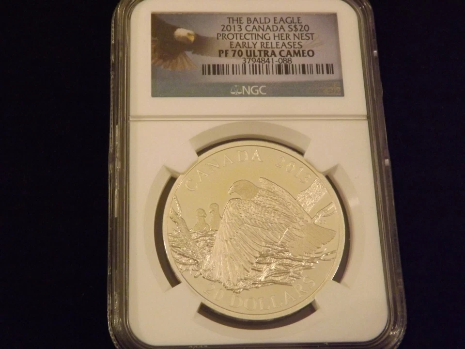 2013                       Bald Eagle                  NGC   PF 70 - Image 1 of 2