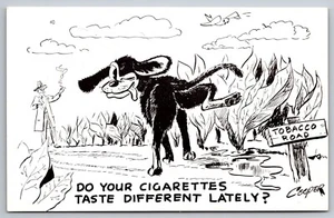 Sigarette gusto diverso? Cane che fa affari su piante da tabacco Coopers c1940s - Foto 1 di 2