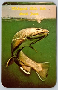 Postcard Michigan's State Fish Brook Trout c1970s Unposted Great Lake State - Picture 1 of 2
