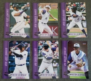 2017 Winston-Salem Dash SINGLE CARDS from Team Card Set - CHOOSE YOUR PLAYER - Picture 1 of 5