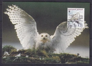 w2043/ Greenland Snow-Owl FDC Maximum Card Cover 1999 - Picture 1 of 2