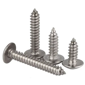 Extra - Wide Rounded Head Screws Super-Corrosion-Resistant 304 Stainless Steel - Picture 1 of 7