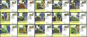 2013 ITALIA CARTOLINA POSTALE FDC MADE IN ITALY VINO DOCG - BF - Picture 1 of 1