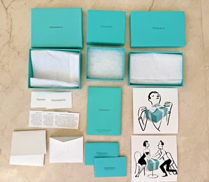 LOT 3 Tiffany & Co. Blue Gift Presentation Boxes, Note & Care Cards Shopping Bag - Picture 1 of 12