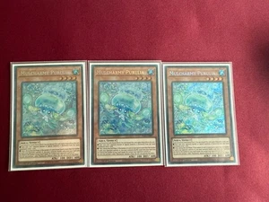 Yu-Gi-Oh Mulcharmy Purulia - Info - EN027 Secret Rare 1st Edition Playset - Bild 1 von 1