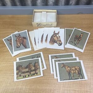 14 VTG MCM CW Anderson Horse Thoroughbreds Note Thank You Greeting Cards