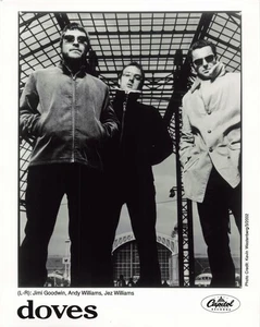 Tauben (Band) VINTAGE Original 8x10 Pressefoto - Bild 1 von 1