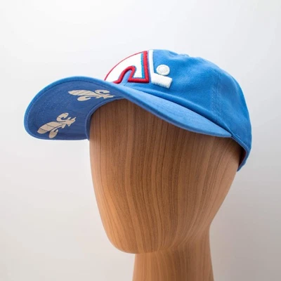 American Needle Quebec Nordiques NHL New Raglan Hat Hockey Dad Cap Blue OSFA New - Image 1 of 4