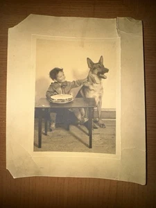 Vintage schwarz-weiß deutscher Schäferhund und Geburtstag Junge Foto - Bild 1 von 8
