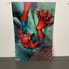 Spider-Man 2003 Neo Productions Marvel Lenticular Holographic Comic Poster 18X12