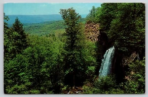 Postkarte Falling Springs Virginia Wasserfall - C.H. Ruth - Bild 1 von 2