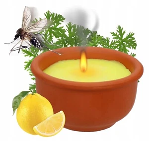 infactory Insektenschutz Kerze: Anti-Mücken-Kerzen in Kokosnuss-Schale (4er Set) - Bild 1 von 5