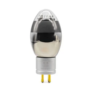 Un par emparejado Linlai HIFI Audio Tubo de vacío 101D para kit amplificador hágalo usted mismo - Imagen 1 de 4