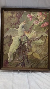 VINTAGE Alfonso T. Toran, THREE WHITE COCKATOOS Litho ART PRINT 16" X 20" Framed - Picture 1 of 9