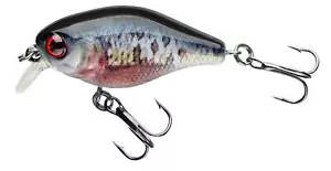 Cormoran Cor F 3 4cm / 3,5g Wobbler Dying Roach Crankbait Forelle Barsch - Bild 1 von 2