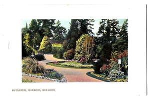 BOTANICAL GARDENS, GEELONG postcard - c1908 - Imagen 1 de 2