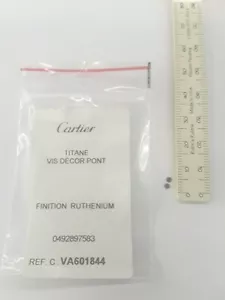 Vite decorativa ponte originale CARTIER TITANE VIS DECOR PONT VA601844 NUOVA 1 paio - Foto 1 di 8