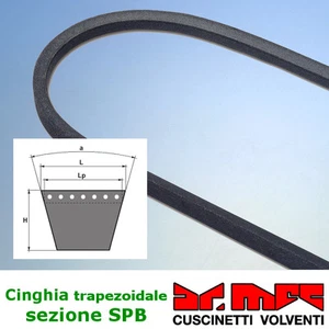 Cinghia trapezoidale liscia SPB - codici da SPB4000 a SPB8850 - Foto 1 di 1