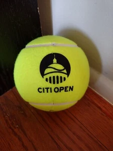 Taylor Fritz and Jessica Pegula Autographed Oversized Tennis Ball - Break Point - Picture 1 of 4