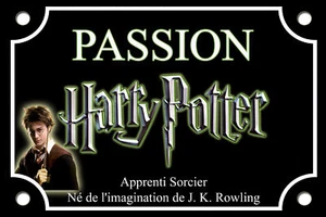 PLAQUE de RUE HARRY POTTER MAGIE ALU 20X30cm - Picture 1 of 1