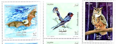 Algeria 2020 Officiel Birds  3 stamps MNH - Image 1 of 4