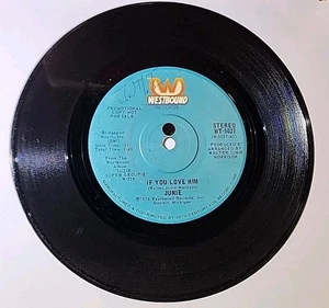 Junie Morrison - If you love him / Suzie Thundertussy 45 RPM Rare Funk Promo - Picture 1 of 4