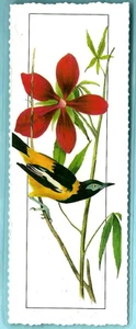 Marcador John James Audubon American Bird Venezolano Troupial Animal Lover Regalos - Imagen 1 de 2