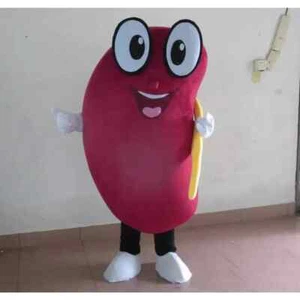 2025 Nuovo Costume Mascotte Renale Felice Sano per Adulti Performance Party Dress - Foto 1 di 3