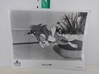 Vintage Tom And Jerry Press Photo
