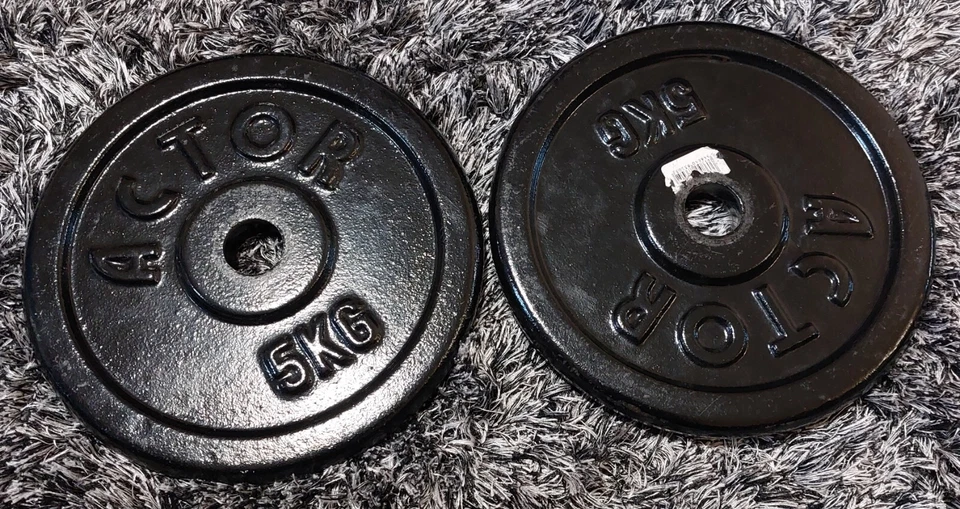 2 poids en fonte de 5 kg - Photo 1/1