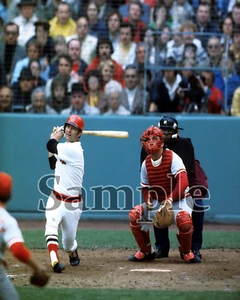 1975 Boston Red Sox Carl Yastrzemski Cincinnati Reds Johnny Bench 8 X 10 Photo - Picture 1 of 1