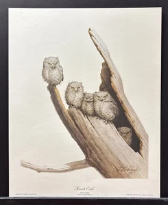 Guy Coheleach Limited Edition Handsignierter Druck "Screech Owls" - Bild 1 von 2