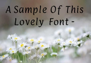 Alphabet Letter Stencil cut from Mylar complete alphabet numbers and symbols - Bild 1 von 4