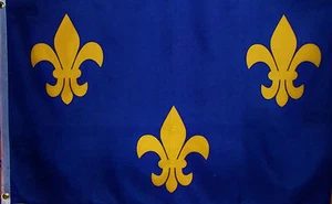 BLAU & GOLD Fleur de Lis FLAGGE - LOUISIANA HISTORISCH - FRANZÖSISCH - KARNEVAL - Bild 1 von 3