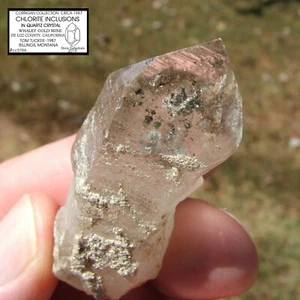 CHLORITE INCLUDED QUARTZ CRYSTAL WHALEY GOLD MINE CALIFORNIA DE LUZ COUNTY 1987 - Picture 1 of 12