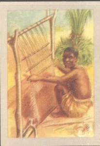 Jacques - Our Congo - 188 - Lusambo Weaver - Picture 1 of 1