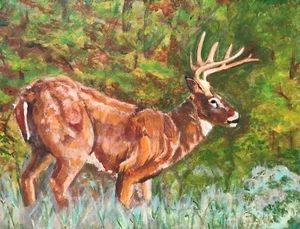 "Buck In the Woods" - 8x10 Solid Dark Wood Frame matted with 5x7 Gilcee print - Picture 1 of 3