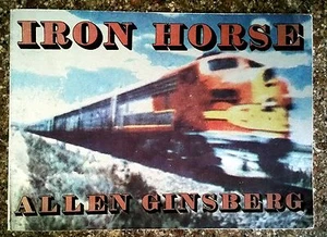 1973 FLAT SIGNED Allen Ginsberg "IRON HORSE" FIRST EDITION, 2nd Prtg (Canadian) - Picture 1 of 9