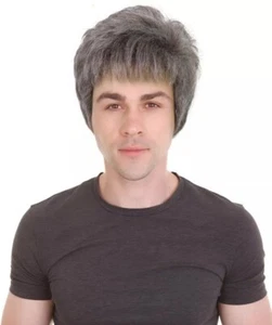 HPO Men's 90'S Rock Star Noel Gallagher-Inspired Short Wavy Grey Mix Wigs - Picture 1 of 7