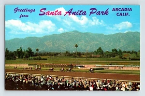 Postcard Horse Racing Santa Anita Race Track Arcadia California 1960s Unposted - Picture 1 of 2