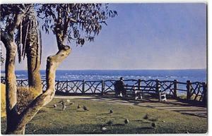 Postal vintage cromada de los años 50 de SANTA MONICA, CA Beachside Park Los Angeles County - Imagen 1 de 2