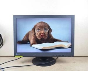EIZO FlexScan MX242W 24.1-inch wide WUXGA IPS LED Non-glossy Display - Picture 1 of 10