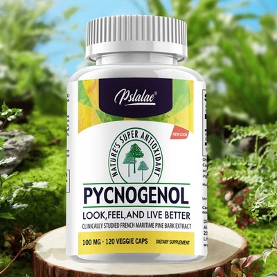 PSLALAE Pycnogenol Capsules- Healthy Vascular Function Support, Free Radical Scavenger