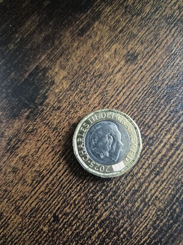 2025 Crownless King Charles III £1 coin. BEE COIN. RARE **** | eBay UK