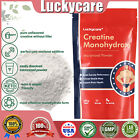 300 Grams Micronized Creatine Monohydrate Powder 60 Serving  Adept Nutrition