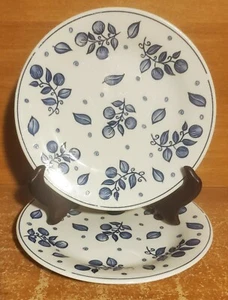 Oneida Casual Settings INDIGO Salad plate set of 2, 7 1/8", Stoneware, Very good - Picture 1 of 8