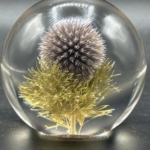 MINT HAFOD GRANGE PAPERWEIGHT CHARDON VIOLET PURPLE 1993 Made In Great Britain - Picture 1 of 2