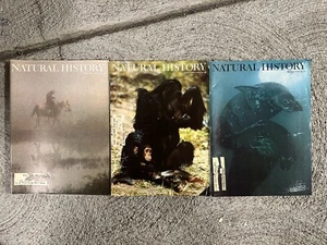 3 Vintage Natural History Magazine Lot November 1975 June July March 1976 Issues - Picture 1 of 1